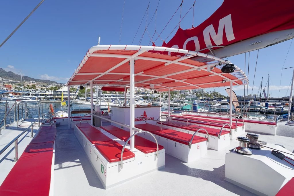 Costa Adeje: MAXICAT Whale and Dolphin Cruise with Food and Pickup gallery 1