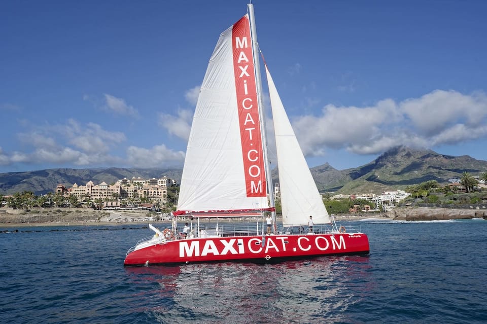 Costa Adeje: MAXICAT Whale and Dolphin Cruise with Food and Pickup gallery 2