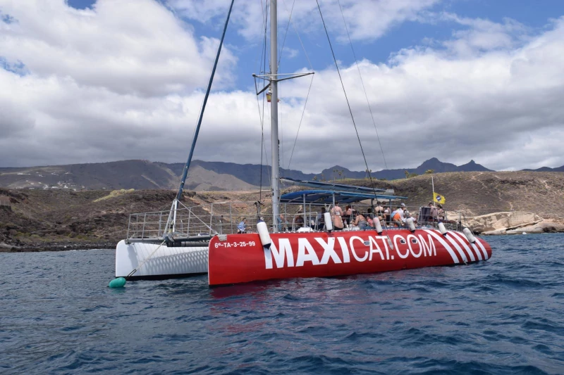 Costa Adeje: MAXICAT Whale and Dolphin Cruise with Food and Pickup gallery 4