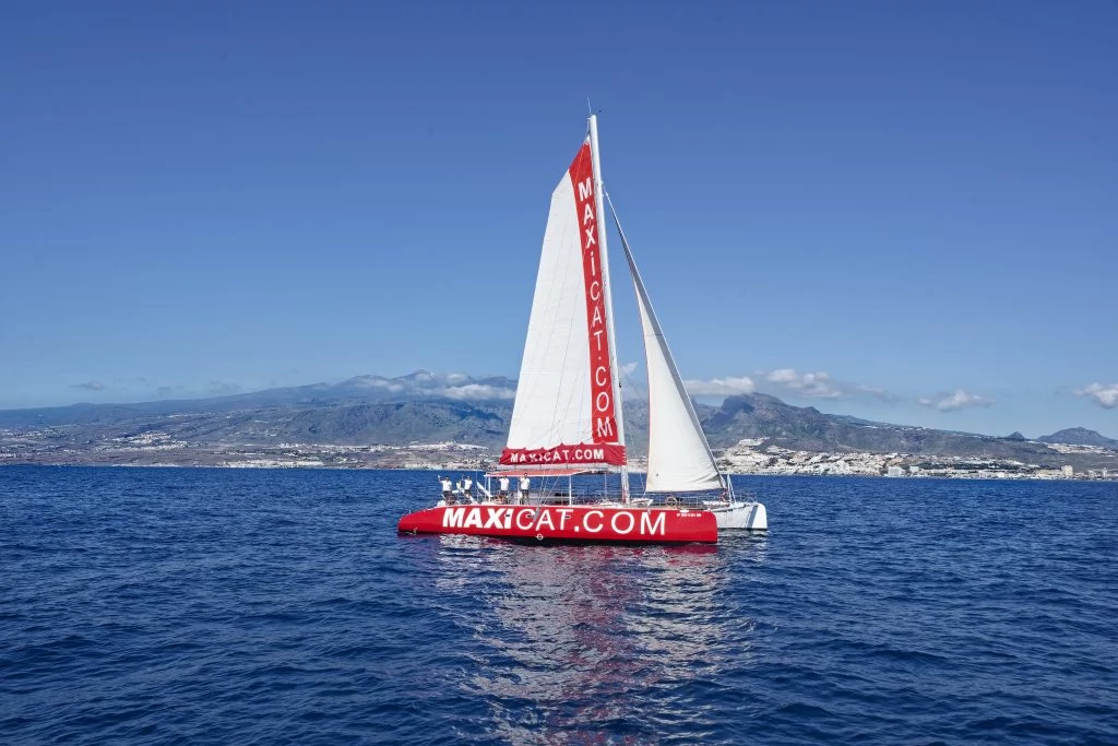 Costa Adeje: MAXICAT Whale and Dolphin Cruise with Food and Pickup