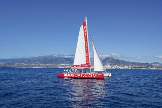 Costa Adeje: MAXICAT Whale and Dolphin Cruise with Food and Pickup