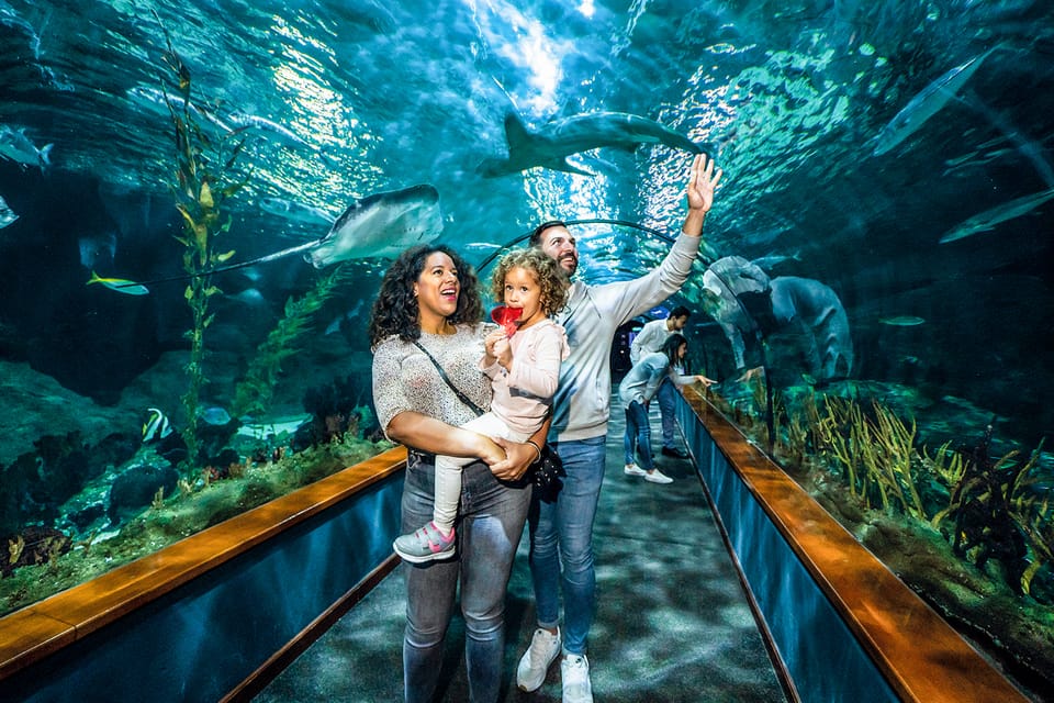 Loro Parque