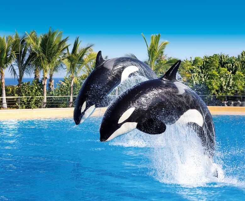 Loro Parque & Siam Park - Twin Ticket gallery 3