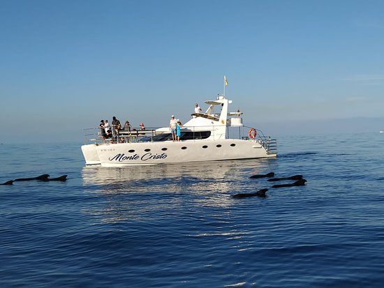 Monte Cristo Catamaran gallery 2